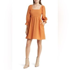 🍁 Madewell Puff Sleeve Waisted Mini Dress in Mulled Cider